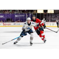 Springfield Thunderbirds defenseman Leo Lööf vs. the Charlotte Checkers