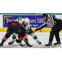Texas Stars forward Sean Chisholm (top) faces off with the Coachella Valley Firebirds