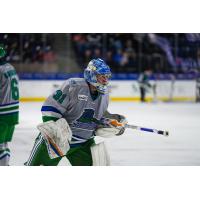 Florida Everblades goaltender Will Cranley
