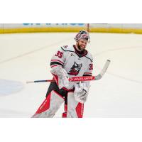 Adirondack Thunder goaltender Jeremy Brodeur