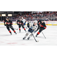 Springfield Thunderbirds forward Zach Dean vs. the Charlotte Checkers