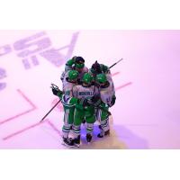 Florida Everblades huddle after a goal