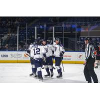 Worcester Railers celebrate a goal
