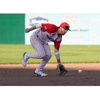 Ottawa Titans shortstop Aaron Casillas