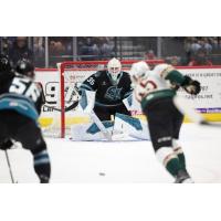 San Jose Barracuda's Gabriel Carriere on game night