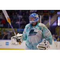 Florida Everblades goaltender Will Cranley